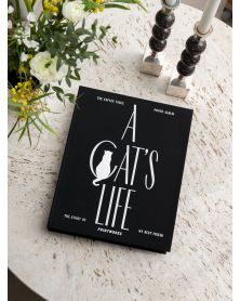 Pack of 4 Cat Album - A Cat's Life