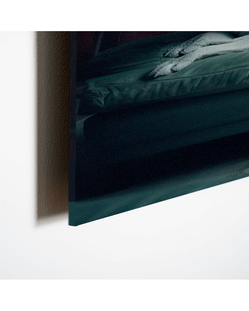 Acrylic Glass Artwork Urban Zoo 24 (11 x 14 in) Hartman AI