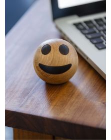 Pack of 6 Smiley Spring Emotions 02