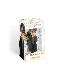 Harry Potter - Harry Potter- Minix Figurine 121
