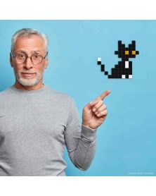 Chat Noir Classique - Pixel Art Kit