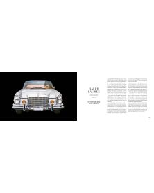 Un homme, une voiture