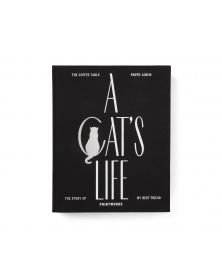 Lot de 4 Albums Photo Printworks - Une vie de chat